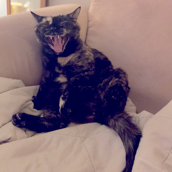 Meet your Posher - Picture 4 of 5